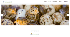 Desktop Screenshot of bartsch-schulze.com